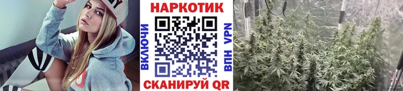 Где продают наркотики Урус-Мартан Кокаин  Псилоцибиновые грибы  СОЛЬ  Гашиш  Меф мяу мяу  mega   Канабис 