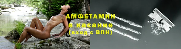 молекула духа Снежногорск