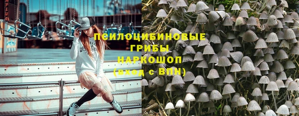 PSILOCYBIN Снежинск