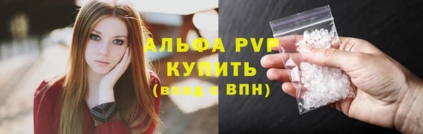молекула духа Снежногорск