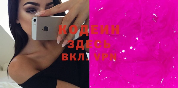молекула духа Снежногорск