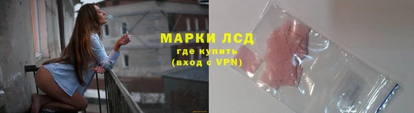 PSILOCYBIN Снежинск
