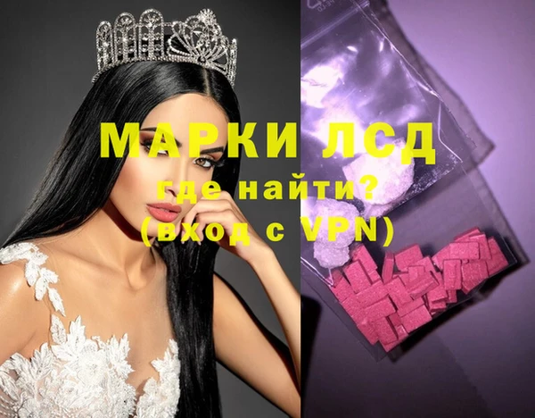молекула духа Снежногорск