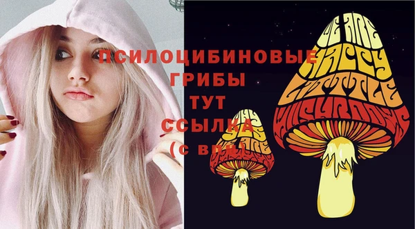 PSILOCYBIN Снежинск
