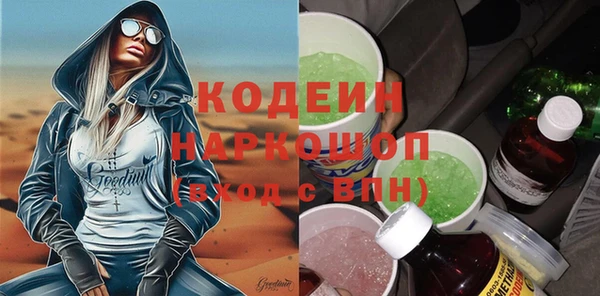молекула духа Снежногорск