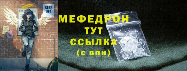 молекула духа Снежногорск