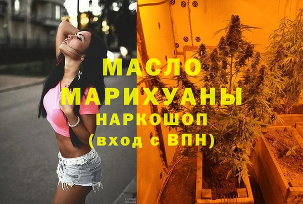 молекула духа Снежногорск