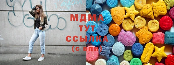 молекула духа Снежногорск