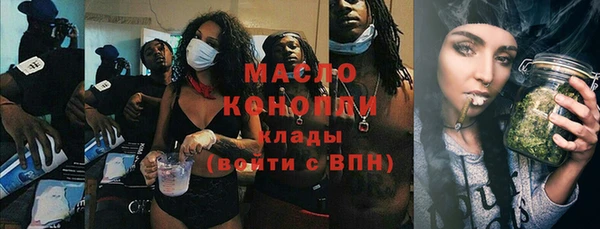 молекула духа Снежногорск