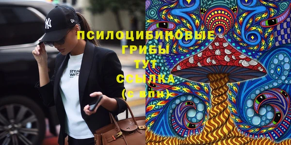 дурь Слюдянка