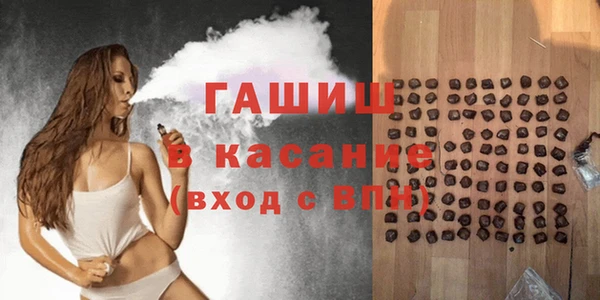 молекула духа Снежногорск