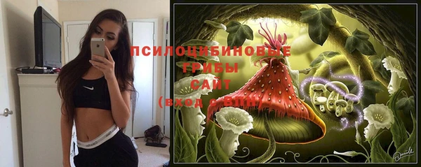молекула духа Снежногорск