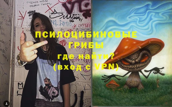 молекула духа Снежногорск