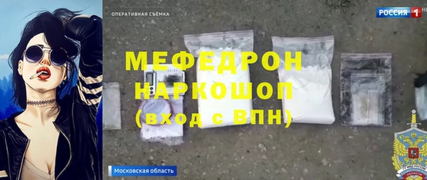 молекула духа Снежногорск