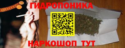 ГАЛЛЮЦИНОГЕННЫЕ ГРИБЫ Кинель