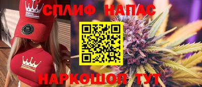 СК Апшеронск