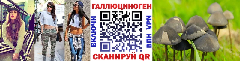 Псилоцибиновые грибы Cubensis Урус-Мартан