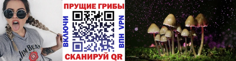 Псилоцибиновые грибы мицелий  где можно купить   Урус-Мартан 