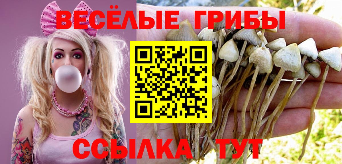 Галлюциногенные грибы Magic Shrooms  Вход с VPN  Урус-Мартан 