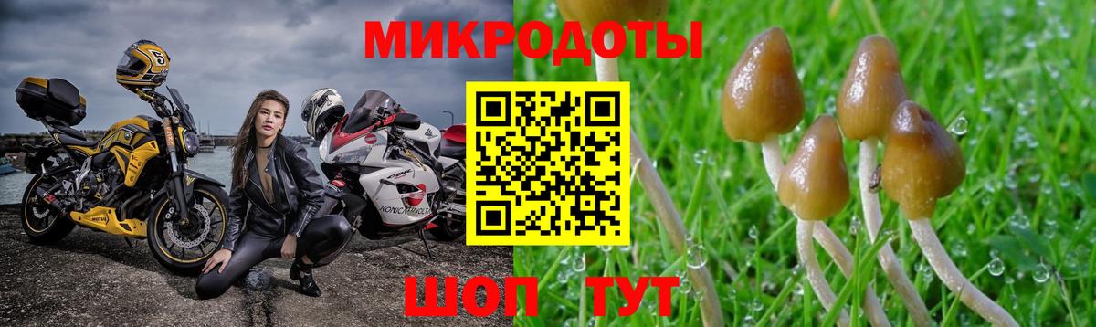Псилоцибиновые грибы прущие грибы  дарнет шоп  Урус-Мартан 